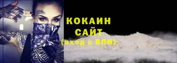 соль ск Абаза