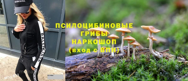прущие крисы Новодвинск