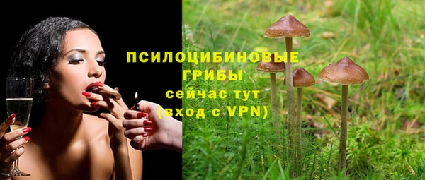 герыч Новокубанск